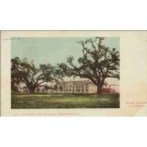 Reprint New Orleans LA   Tulane University 1900  