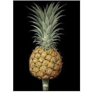  Brookshaw S Exotic Pineapple II Poster Print