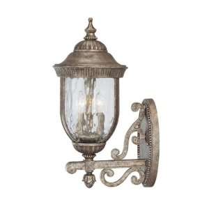   Light Outdoor Wall Light in Platinum with Clear Hammered Glass glass