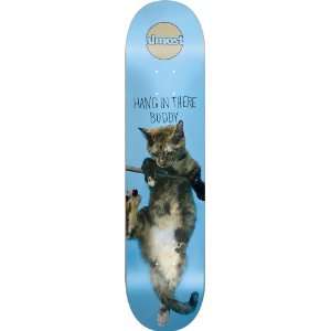  Almost Hang In There Deck (Blue, 8 Inch) Sports 