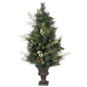    30 Afton Mix Pine/Berry Potted Christmas Tree