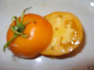 Pegs Round Orange Kentucky Heirloom Tomato Seeds  