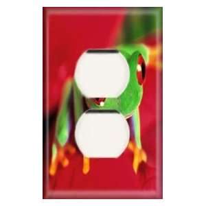  Single Duplex Outlet Plate   Frog Runt
