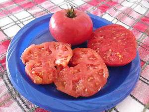 Hege German Pink NC Heirloom Tomato Seeds  