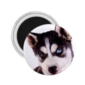  Siberian Husky Puppy Dog 16 2.25in Magnet R0630 