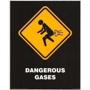 Dangerous Gas (1996)   Party/College Poster   16 x 20  
