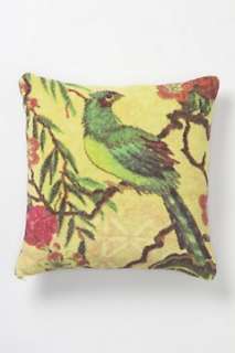 Pillows & Throws   House & Home   Anthropologie