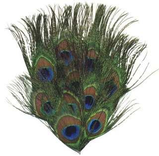 NATURAL WHISPY PEACOCK EYE FEATHERS PAD LOW SHIPPING  
