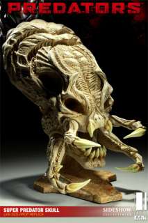 Sideshow Super Predator Skull Prop Replica Alien AVP  