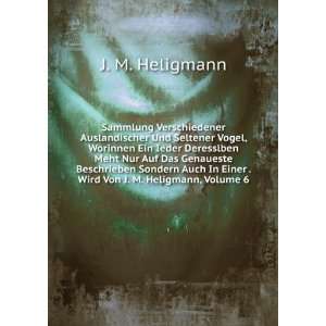   Sondern Auch In Einer . Wird Von J. M. Heligmann, Volume 6 J. M