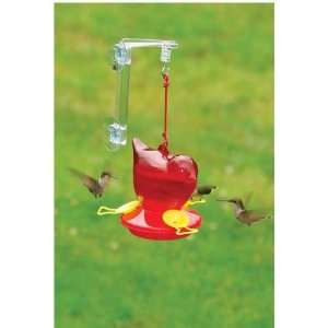 com Window Red Bird Hummingbird Feeder   Clear Acrylic Hanger, 3 Bee 