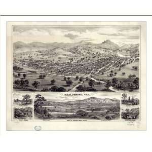  Historic Healdsburg, California, c. 1876 (M) Panoramic Map 