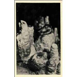 com Reprint Blue Mounds WI   Broken Stalagmites In Cave Of The Mounds 
