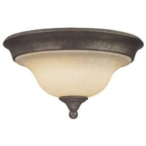 Vaxcel International Lighting Ceiling Light 