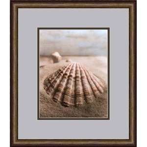  Seashells II by Sondra Wampler   Framed Artwork