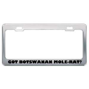 Got Botswanan Mole Rat? Animals Pets Metal License Plate Frame Holder 