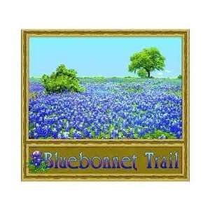  Bluebonnet Trail Coverlet