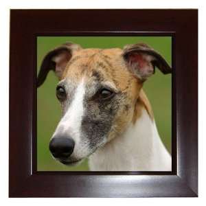  Whippet Puppy Dog 2 Framed Tile G0649 