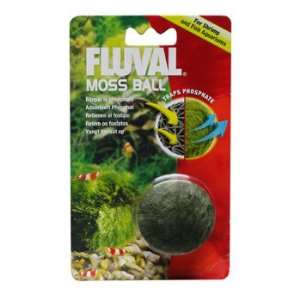  Fluval Moss Ball
