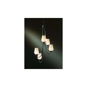 Hubbardton Forge 10 3035 08 G303 Flora 5 Light Two Tier Chandelier in 