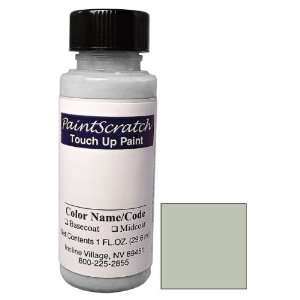  1 Oz. Bottle of Silver Metallic (Cladding) Touch Up Paint 