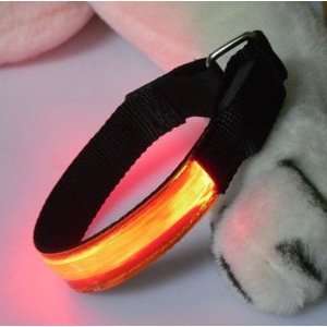   Neck Band for Small Dog or Cat, Shines Orange When Lit