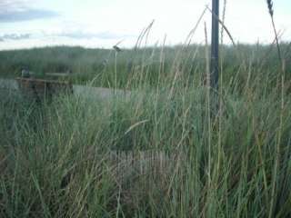 Fewo Babies in Ostholstein   Scharbeutz  Ferienwohnungen &  häuser 