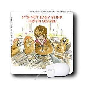   Times Gen. 2 Animals Music   Justin Beaver   Mouse Pads Electronics