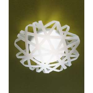  X Ray ceiling or wall light   small, 110   125V (for use 