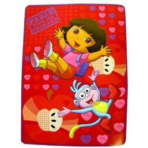  Nick Jr Dora Apple Bounce twin mink blanket   Dora The 