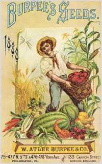 1888   1927 Burpee Seed Catalogs on CD  