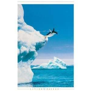  Penguins Poster Print