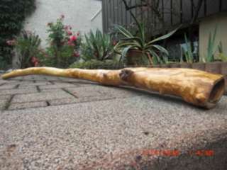 Didgeridoo (Aus dem Hause Madera Limpia) aus Apfel Holz in Baden 