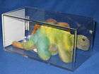 AUTHENTICATED TY STEG the DINOSAUR BEANIE BABY   NHT   GREAT COLORS