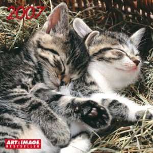Art & Image Katzen 2005. Broschürenkalender  Bücher