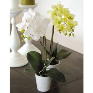 Künstliche Orchidee Phalaenopsis, getopft, weiß, 33 cm   hochwertige 