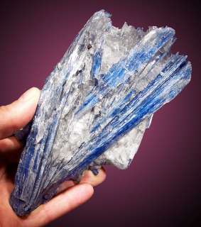Fine 7.5 Sky Blue KYANITE Crystals+White QUARTZ Brazil  