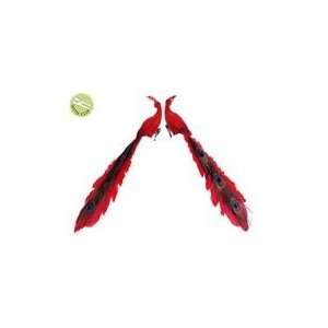Set of 2 Regal Peacock Red Closed Tail Bird Clip On Christmas Or 