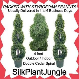   foot Double Cedar Twisting Spiral Topiary Tree Plant packed in peanuts