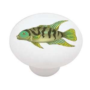  African Cichlid Convict Decorative High Gloss Ceramic 