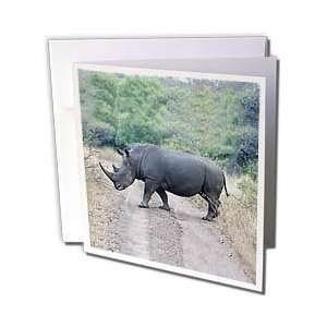  Animals   South African Rhino side view   Greeting Cards 6 Greeting 
