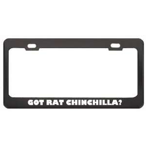  Got Rat Chinchilla? Animals Pets Black Metal License Plate 
