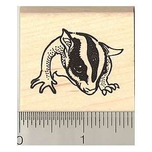  Sugar Glider Portrait Rubber Stamp Arts, Crafts & Sewing