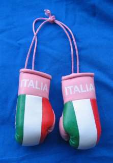 PINK Mini Italian Flag Boxing Gloves  
