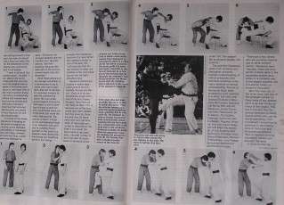 84 BLACK BELT GRACIELA CASILLAS AL DACASCOS KARATE KUNG FU MARTIAL 