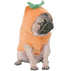  Capelli New York Pet Costume Halloween Pumpkin With Leaves 
