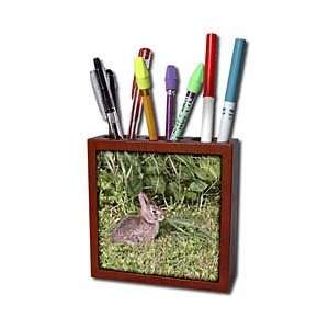  Turner Rabbit Photography   Baby Bunny with Big Leaves   Tile Pen 