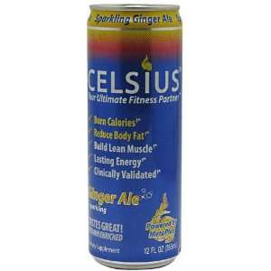  Celsius Celsius, Sparkling Ginger Ale, 24   12 fl oz 