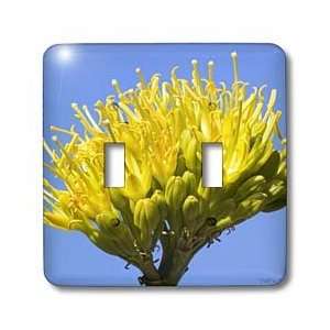   Century Plant   Light Switch Covers   double toggle switch Home