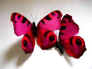   hot pin and red Artificial Butterfly for Home and Wedding Decoration